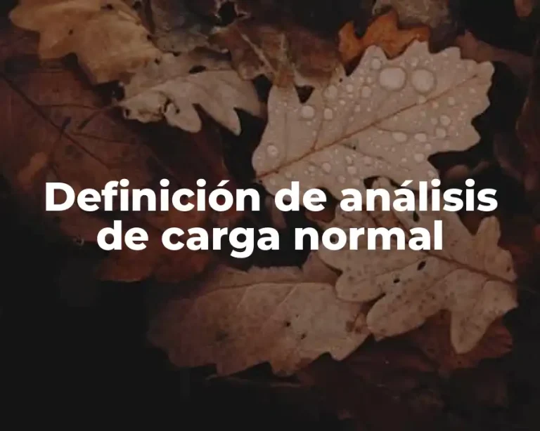 Definición de análisis de carga normal