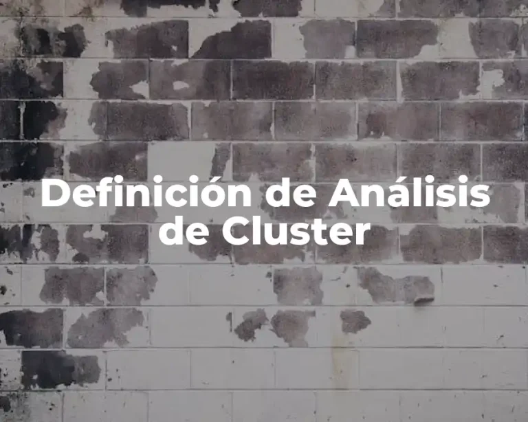 Definición de Análisis de Cluster