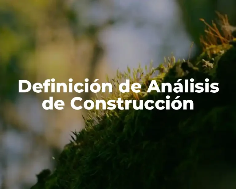 Definición de Análisis de Construcción