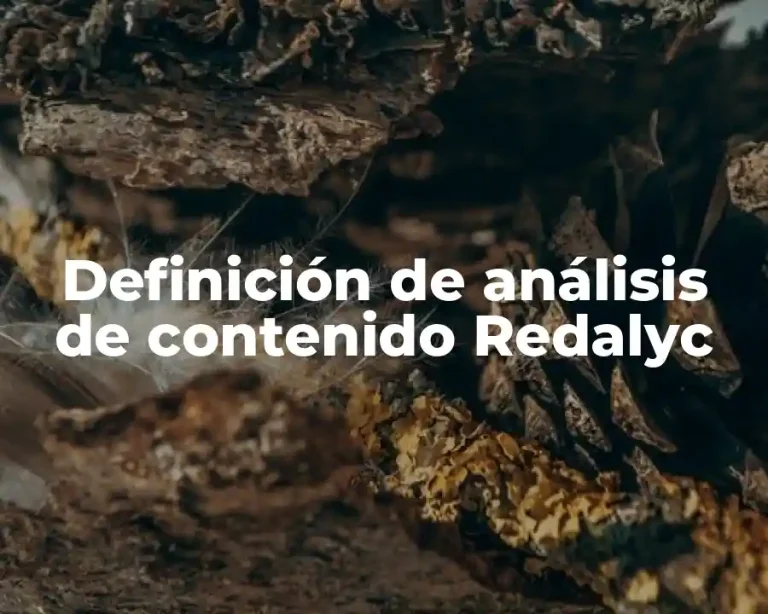 Definición de análisis de contenido Redalyc