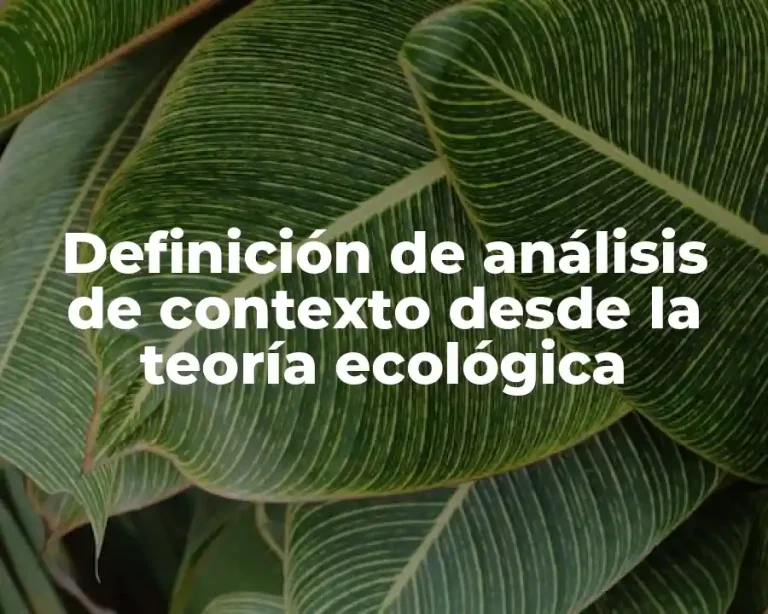 Definición de análisis de contexto desde la teoría ecológica