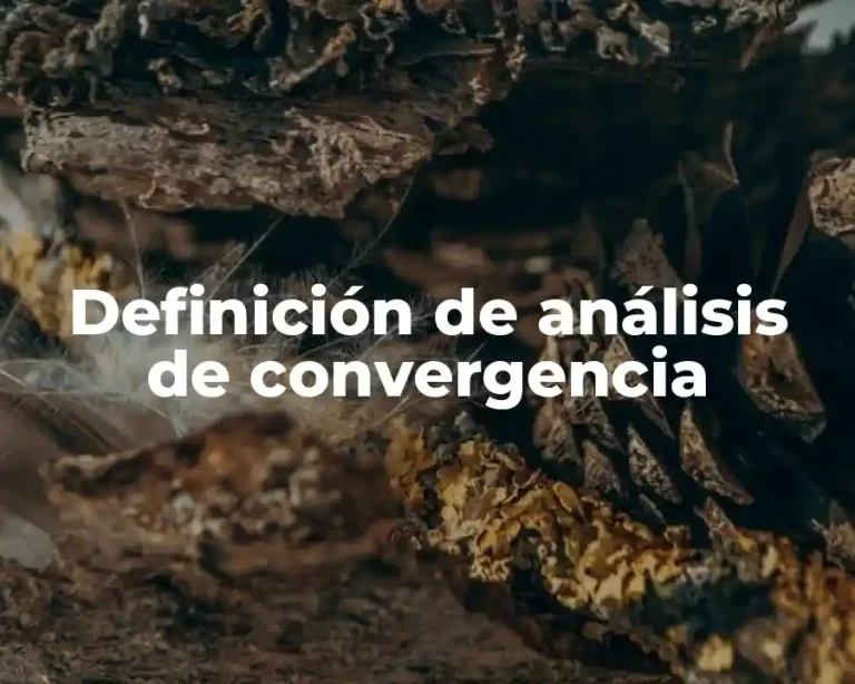 Definición de análisis de convergencia