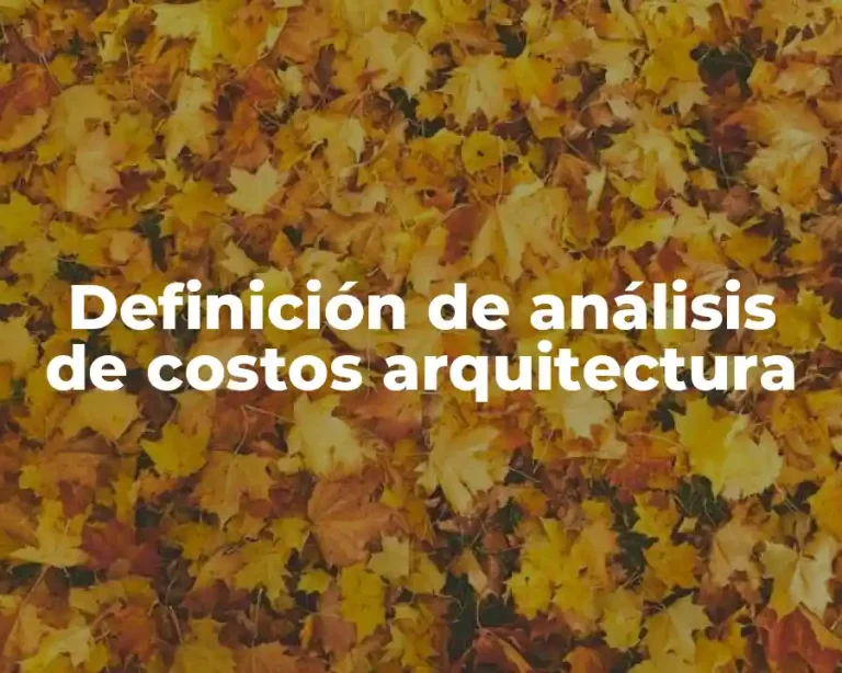 Definición de análisis de costos arquitectura