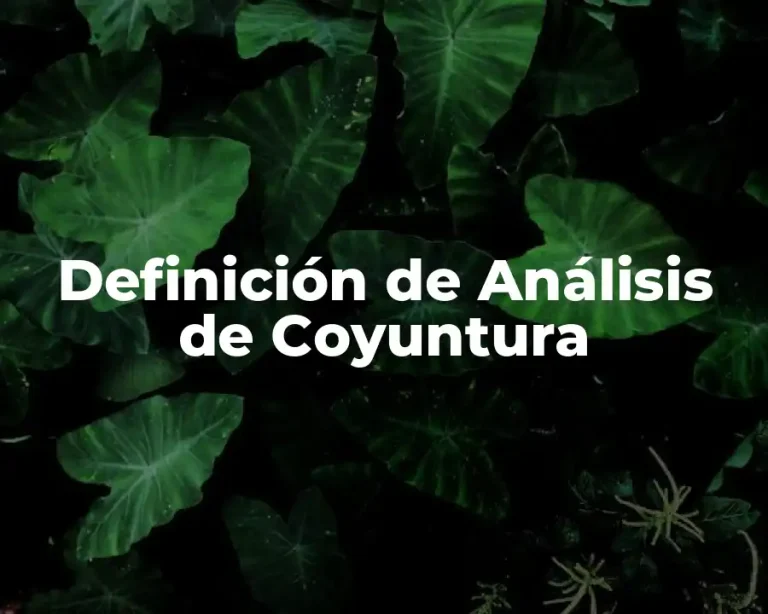 Definición de Análisis de Coyuntura