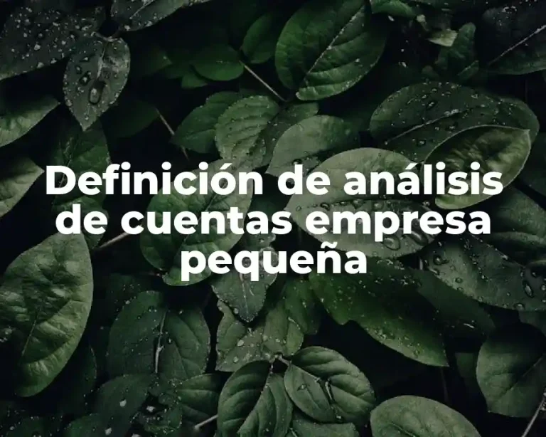 Definición de análisis de cuentas empresa pequeña