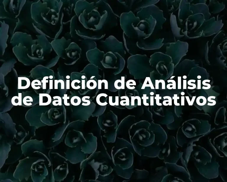 Definición de Análisis de Datos Cuantitativos