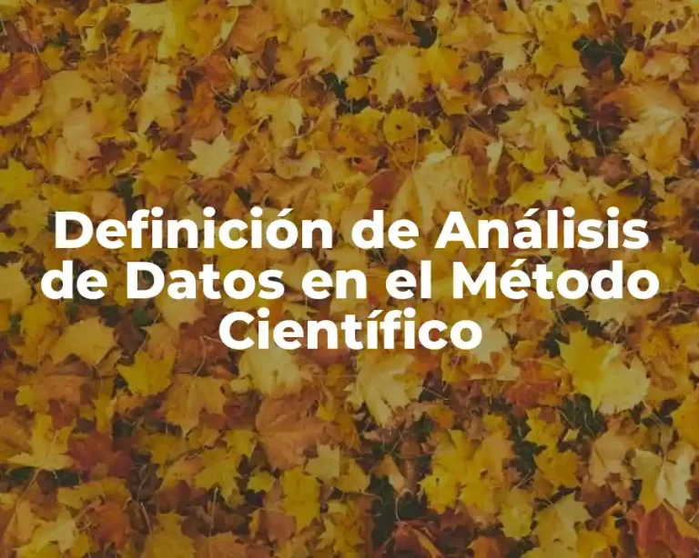 Definición de Análisis de Datos en el Método Científico