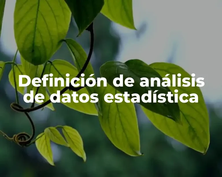 Definición de análisis de datos estadística