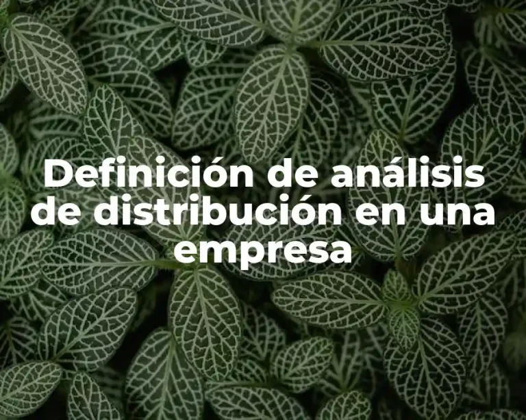 Definición de análisis de distribución en una empresa