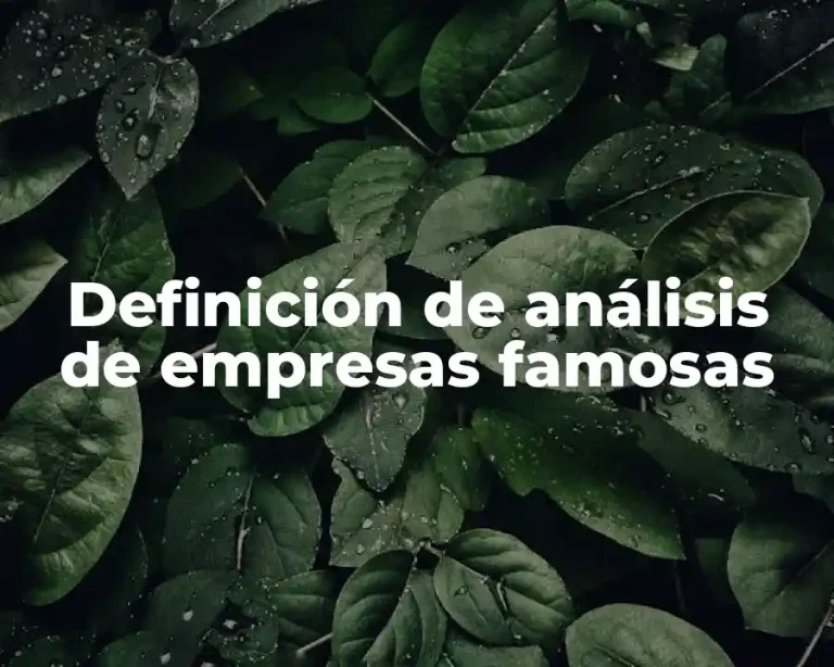 Definición de análisis de empresas famosas