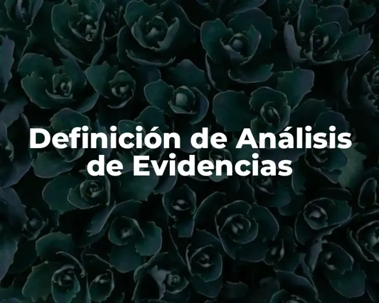 Definición de Análisis de Evidencias