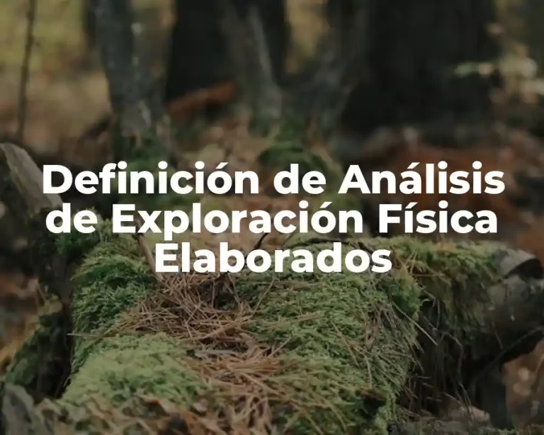 Definición de Análisis de Exploración Física Elaborados