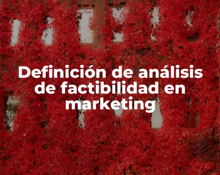 Definición de análisis de factibilidad en marketing