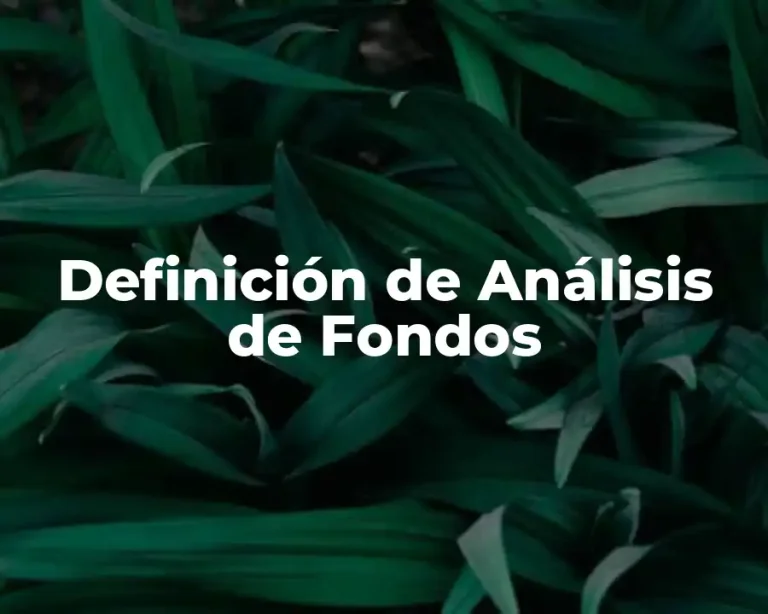 Definición de Análisis de Fondos