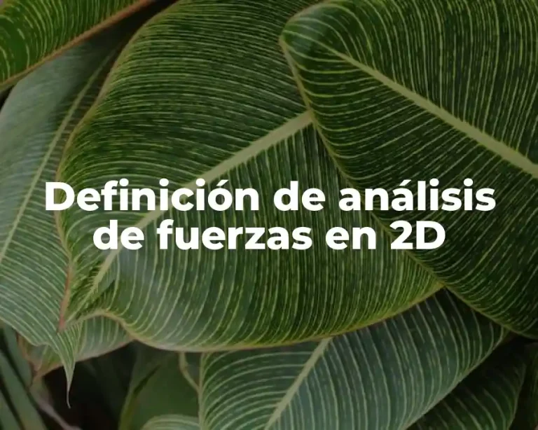 Definición de análisis de fuerzas en 2D