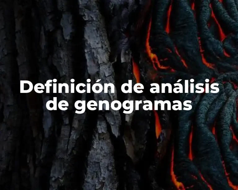 Definición de análisis de genogramas