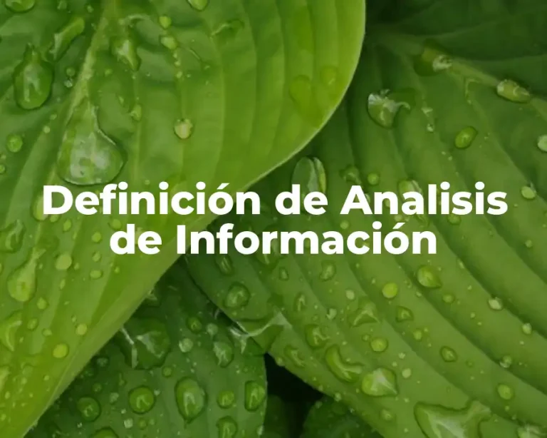 Definición de Analisis de Información