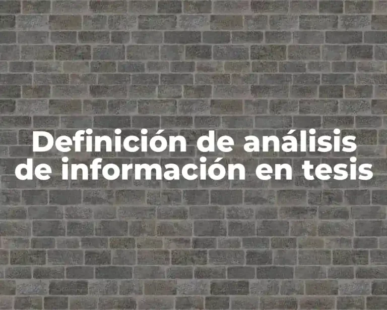 Definición de análisis de información en tesis