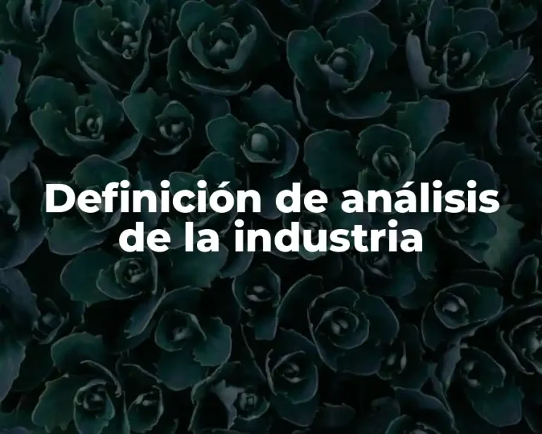 Definición de análisis de la industria
