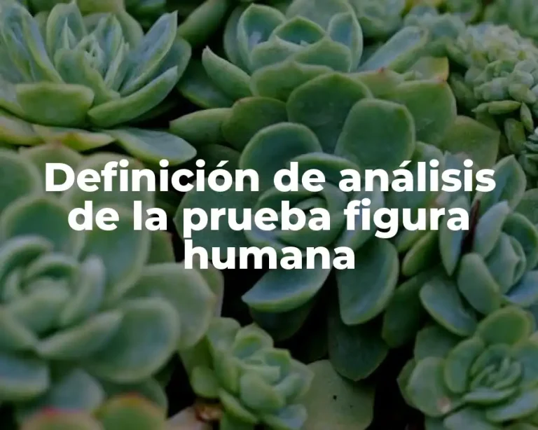 Definición de análisis de la prueba figura humana