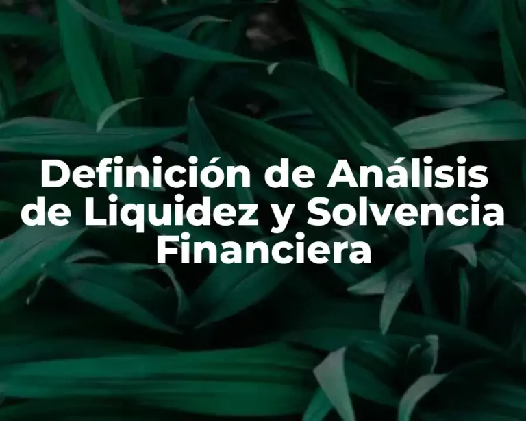 Definición de Análisis de Liquidez y Solvencia Financiera
