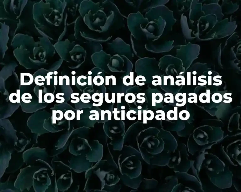 Definición de análisis de los seguros pagados por anticipado
