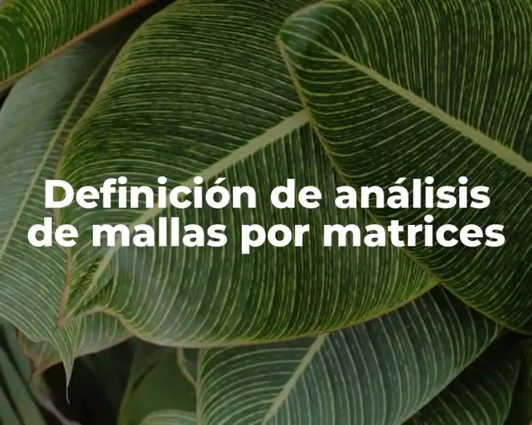 Definición de análisis de mallas por matrices
