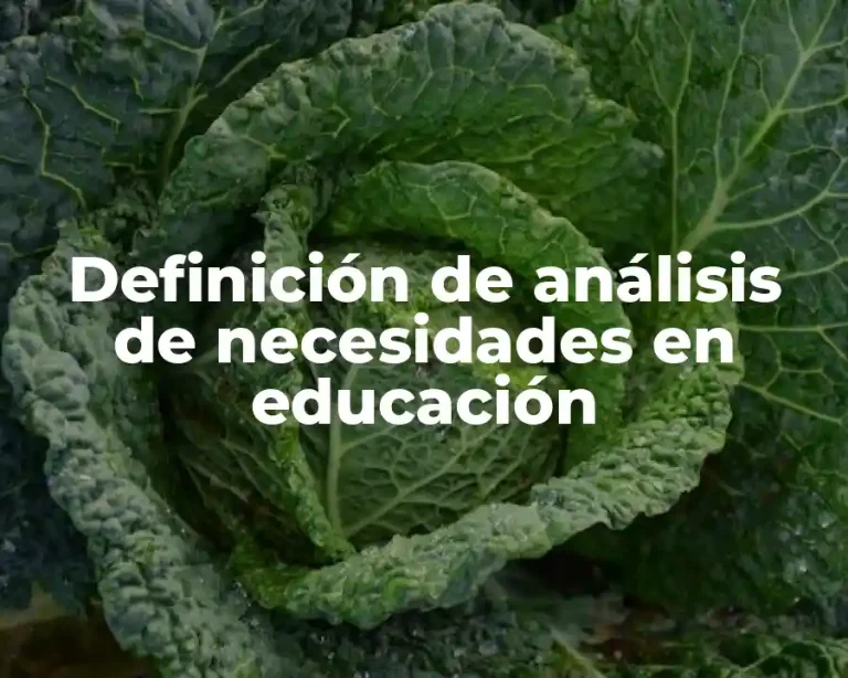 Definición de análisis de necesidades en educación
