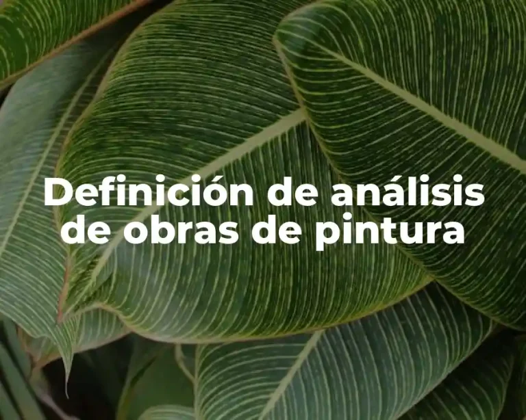 Definición de análisis de obras de pintura
