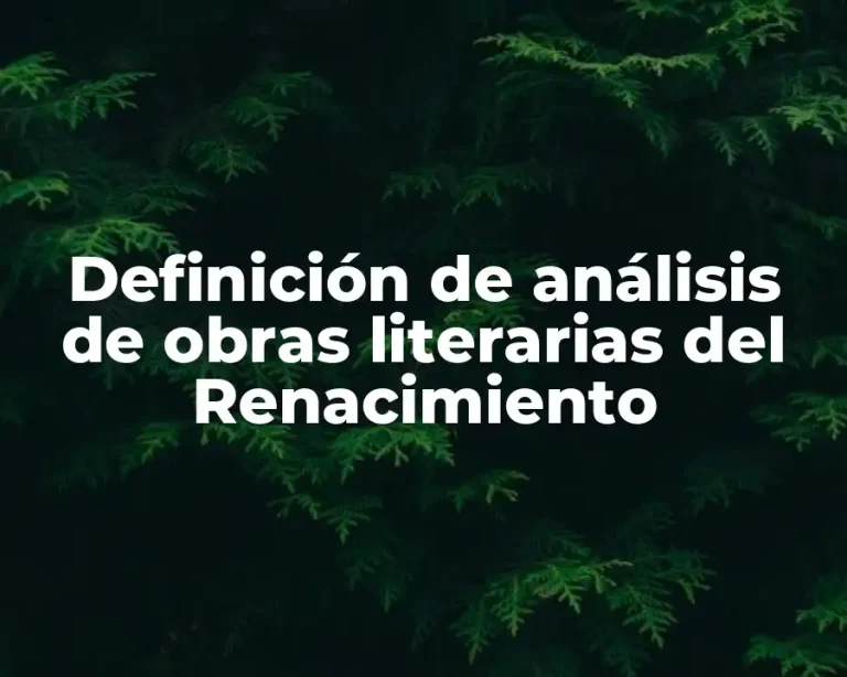 Definición de análisis de obras literarias del Renacimiento