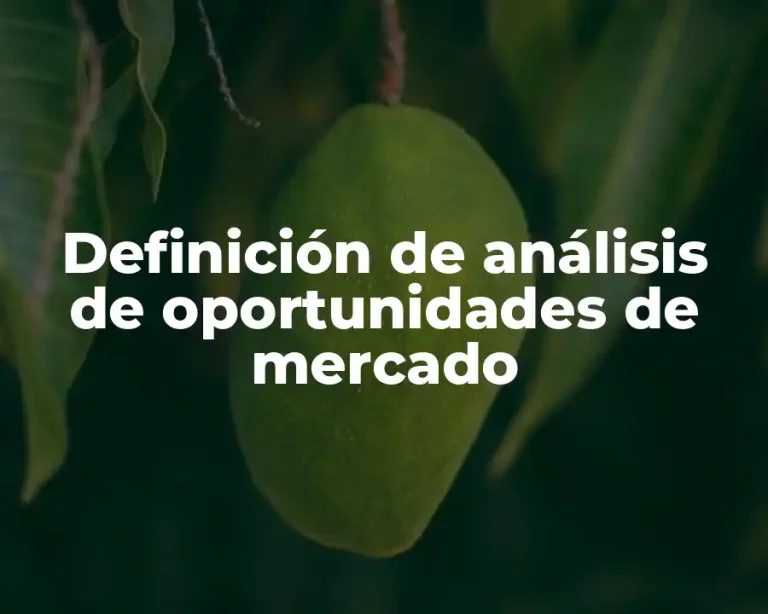 Definición de análisis de oportunidades de mercado