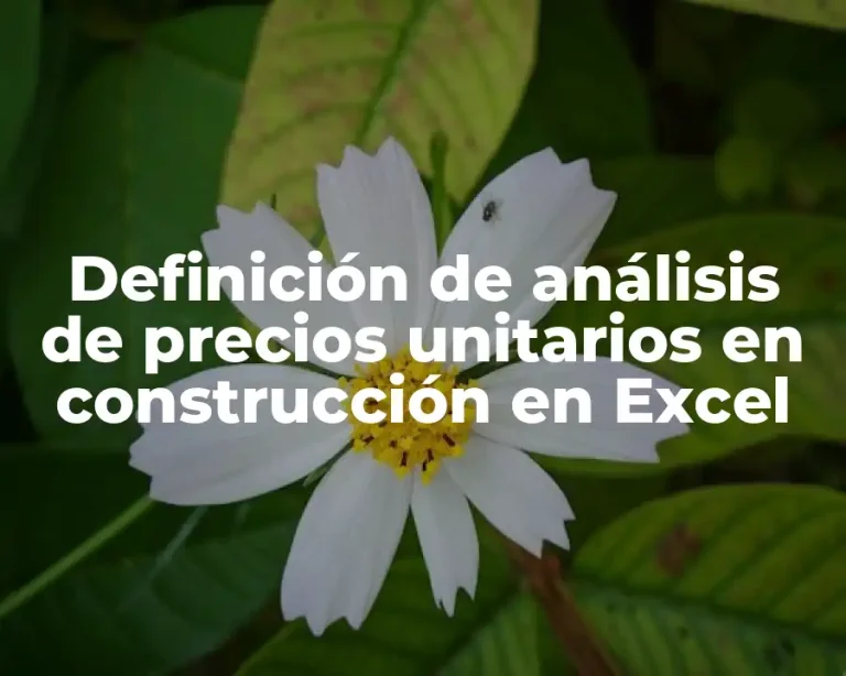 Definición de análisis de precios unitarios en construcción en Excel