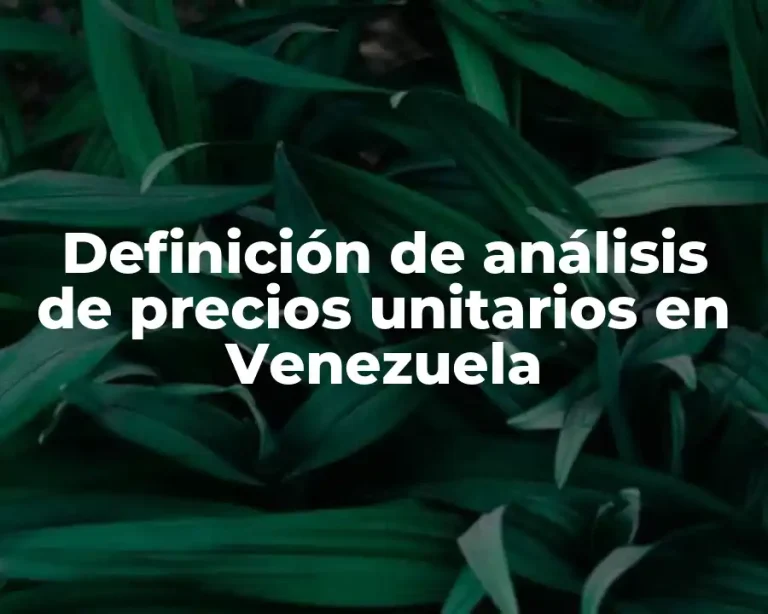 Definición de análisis de precios unitarios en Venezuela