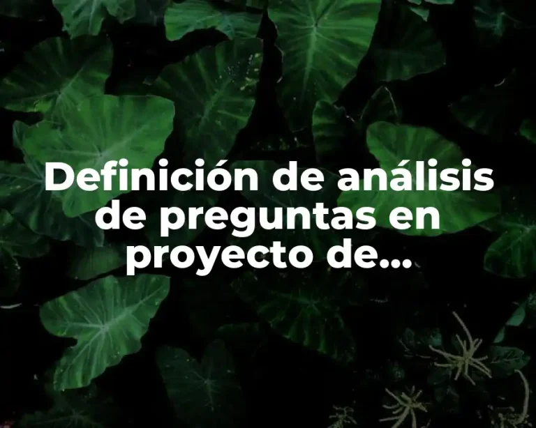 Definición de análisis de preguntas en proyecto de investigación