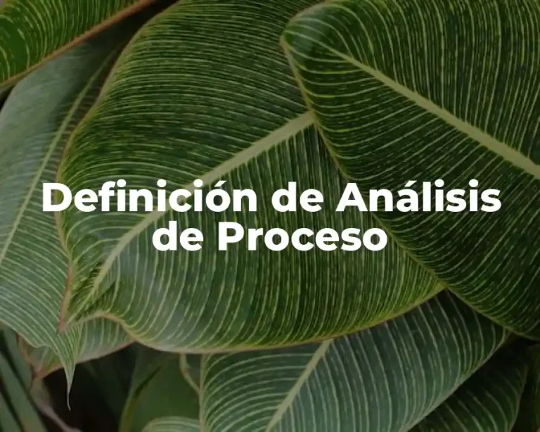 Definición de Análisis de Proceso