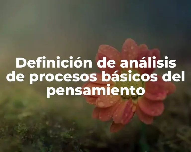 Definición de análisis de procesos básicos del pensamiento