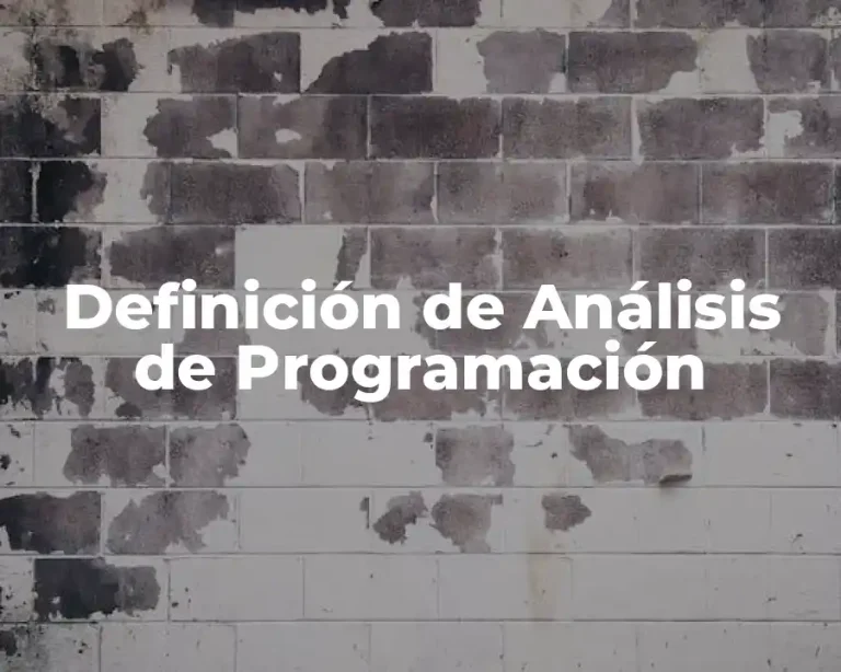 Definición de Análisis de Programación