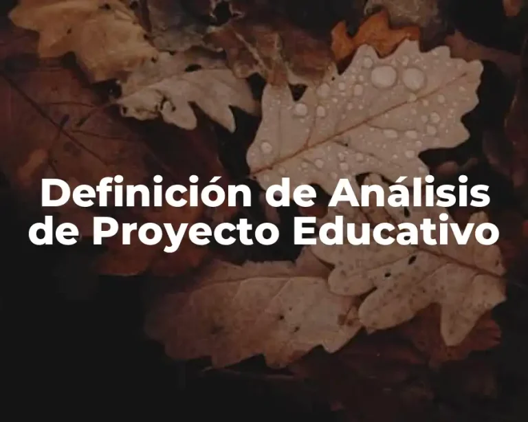 Definición de Análisis de Proyecto Educativo
