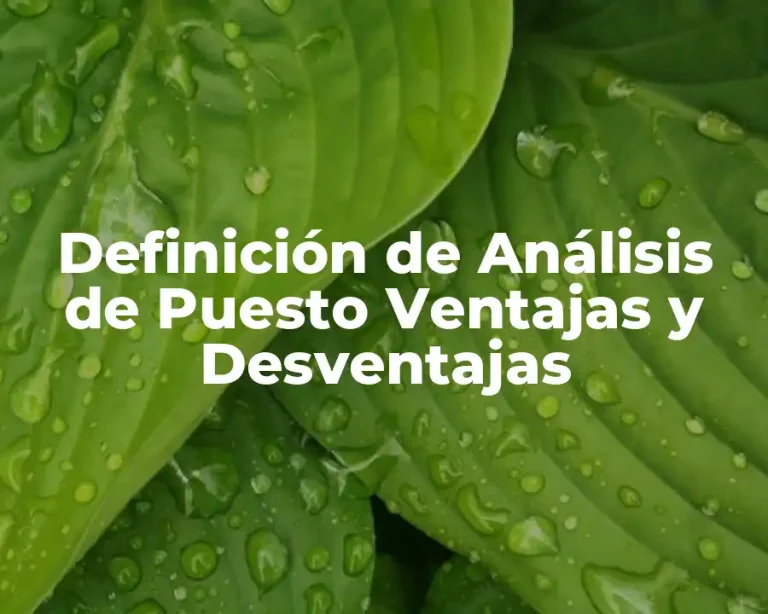 Definición de Análisis de Puesto Ventajas y Desventajas