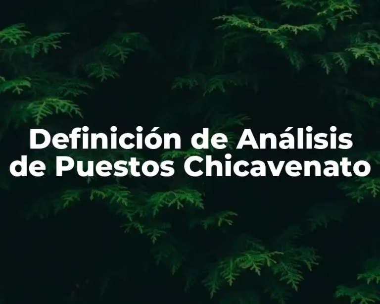 Definición de Análisis de Puestos Chicavenato