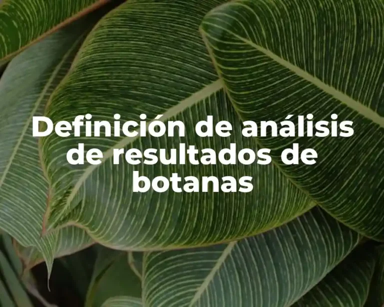 Definición de análisis de resultados de botanas