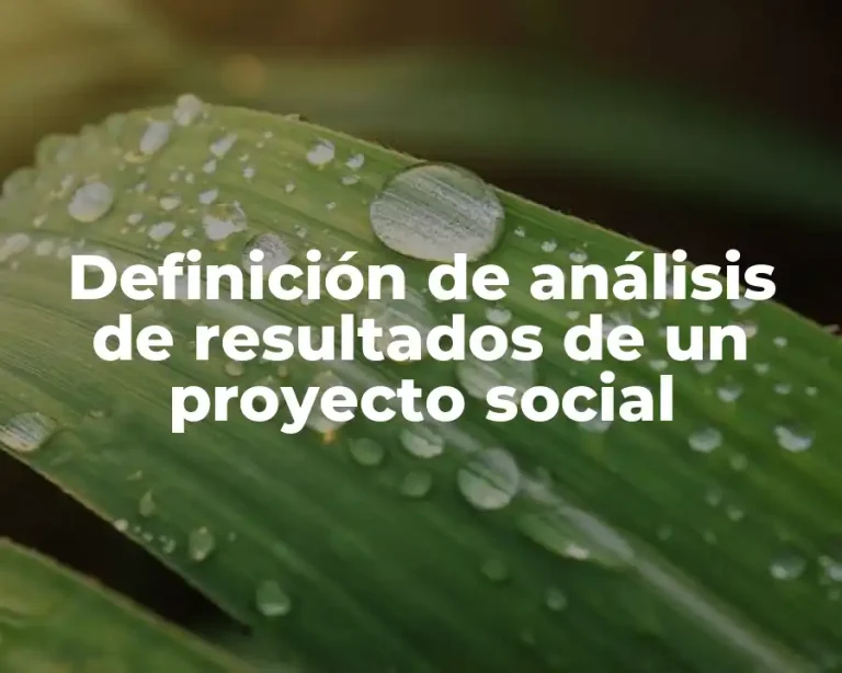 Definición de análisis de resultados de un proyecto social
