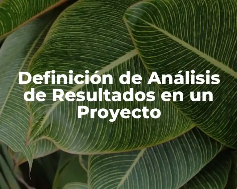 Definición de Análisis de Resultados en un Proyecto