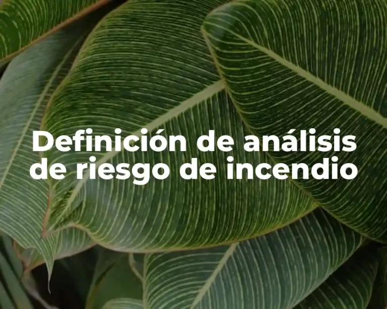Definición de análisis de riesgo de incendio