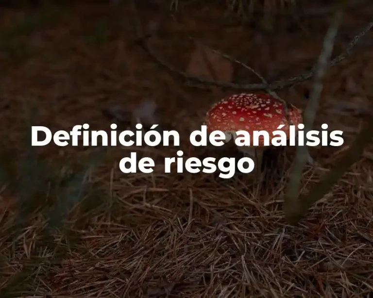Definición de análisis de riesgo