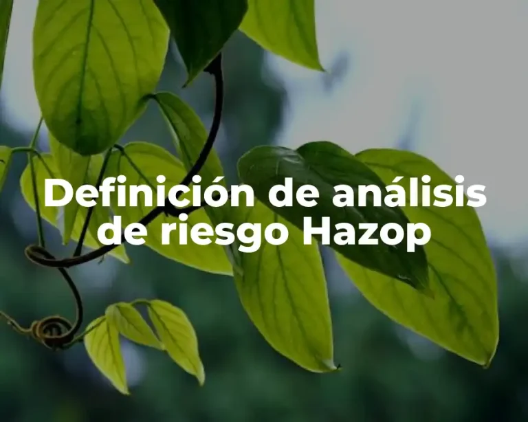 Definición de análisis de riesgo Hazop