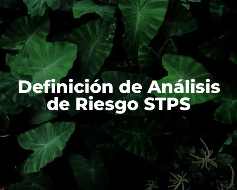 Definición de Análisis de Riesgo STPS