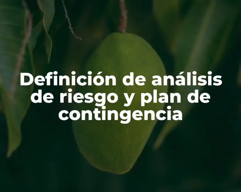 Definición de análisis de riesgo y plan de contingencia