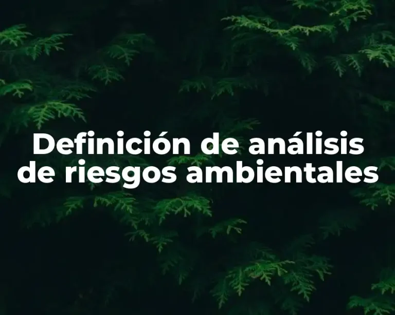 Definición de análisis de riesgos ambientales