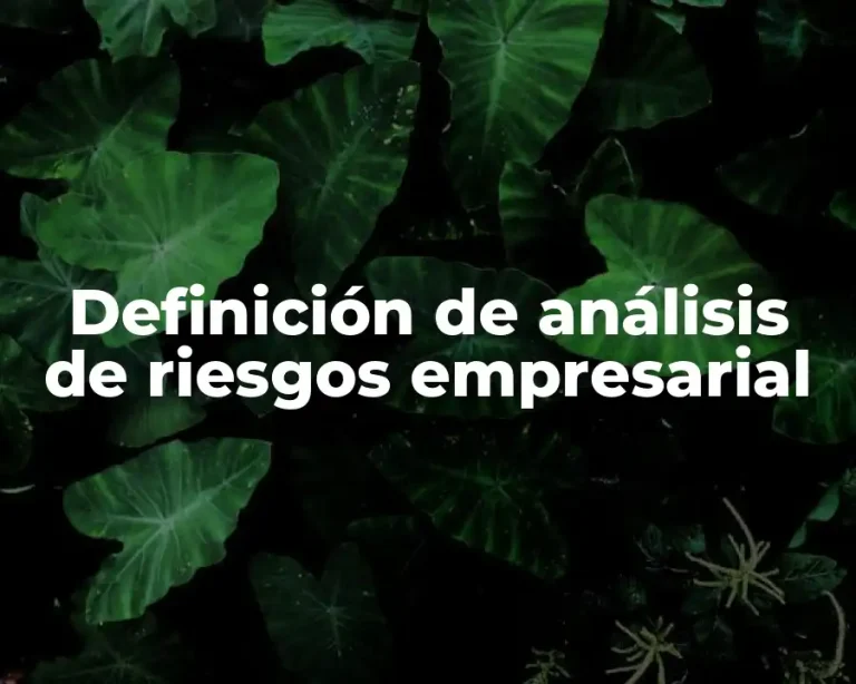 Definición de análisis de riesgos empresarial